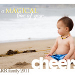 A few more Christmas Cards…