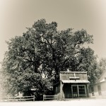 A little more Americana from the Ranch